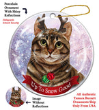 Tabby Brown Cat Howliday Cat Christmas Ornament