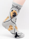 Brussels Griffon Dog Breed Novelty Socks