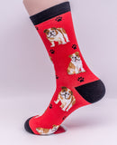 Bulldog Dog Breed Novelty Socks