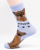 Burmese Socks Cat Breed Foozy Novelty Socks