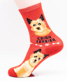 Cairn Terrier Dog Breed Foozy Novelty Socks