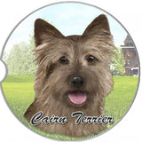 Cairn Terrier Sandstone Absorbent Dog Breed Car Coaster