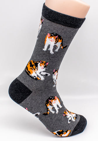 Calico Cat Breed Novelty Socks