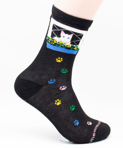 Cat In Window Breed Novelty Socks Medium