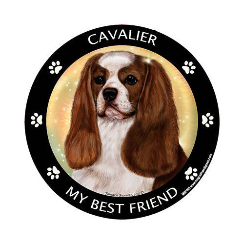 Cavalier King Charles Spaniel Dog My Best Friend Dog Breed Magnet