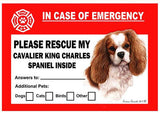 Cavalier King Charles Spaniel Dog Emergency Window Cling