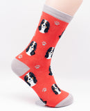 Cavalier King Charles Tri Dog Breed Novelty Socks