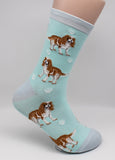 Cavalier Dog Breed Novelty Socks