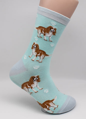 Cavalier Dog Breed Novelty Socks