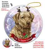Chesapeake Bay Retriever Howliday Dog Christmas Ornament