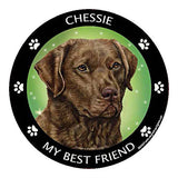 Chesapeake Bay Retriever Chessie My Best Friend Dog Breed Magnet