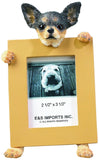 Chihuahua Black Dog Picture Frame Holder