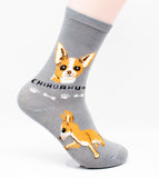 Chihuahua Dog Breed Foozy Novelty Socks