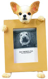 Chihuahua Tan Dog Holding Picture Frame