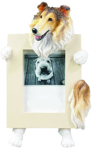 Collie Dog Picture Frame Holder