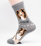 Collie Dog Breed Foozy Novelty Socks