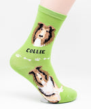 Collie Dog Breed Foozy Novelty Socks