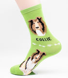Collie Dog Breed Foozy Novelty Socks