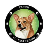 Corgi My Best Friend Dog Breed Magnet