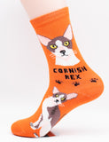 Cornish Rex Socks Cat Breed Foozy Novelty Socks