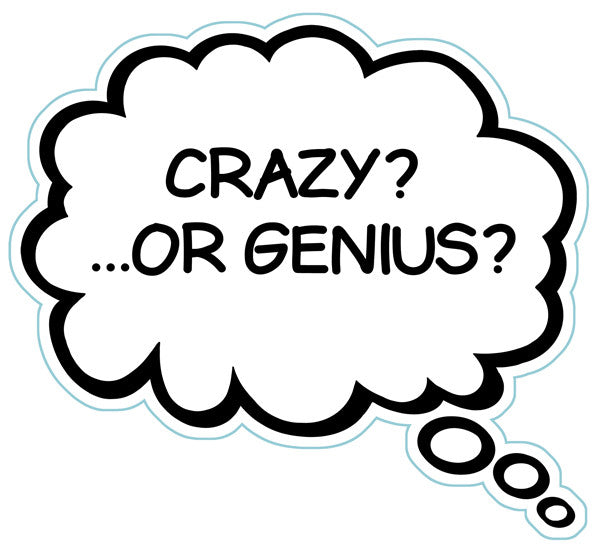 Crazy? ...Or Genius? Brain Fart Car Magnet