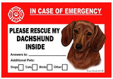 Dachshund Red Dog Emergency Window Cling