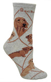 Dachshund Red Dog Breed Novelty Socks Gray