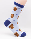 Dachshund Red Dog Breed Novelty Socks