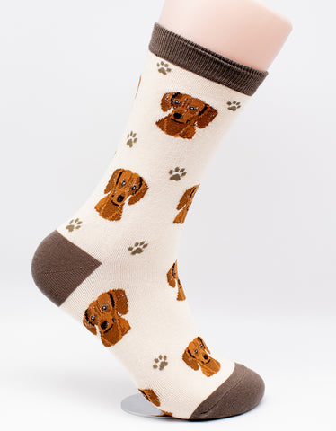 Dachshund Red Dog Breed Novelty Socks