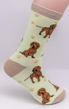 Dachshund Red Dog Breed Novelty Socks