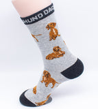 Dachshund Dog Novelty Socks