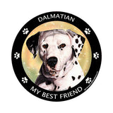 Dalmatian My Best Friend Dog Breed Magnet