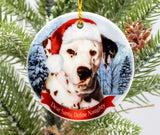 Dalmatian Assorted Howliday Dog Christmas Ornament