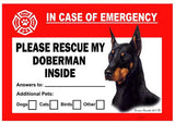 Doberman Pinscher Dog Emergency Window Cling
