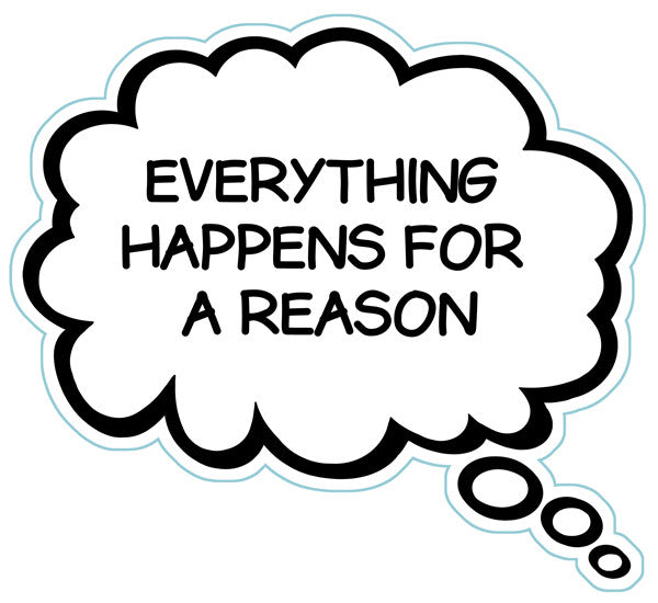 Everything Happens For A Reason Brain Fart Car Magnet