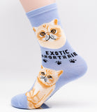 Exotic Shorthair Socks Cat Breed Foozy Novelty Socks