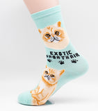 Exotic Shorthair Socks Cat Breed Foozy Novelty Socks