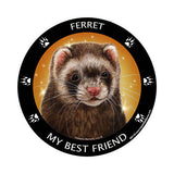 Ferret My Best Friend Breed Magnet