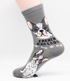 French Bulldog Dog Breed Foozy Novelty Socks