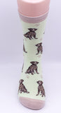 German Shorthair Pointer Dog Breed Novelty Socks