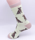 German Shorthair Pointer Dog Breed Novelty Socks