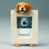 Golden Retriever Dog Picture Frame Holder