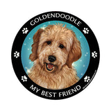 Goldendoodle My Best Friend Dog Breed Magnet