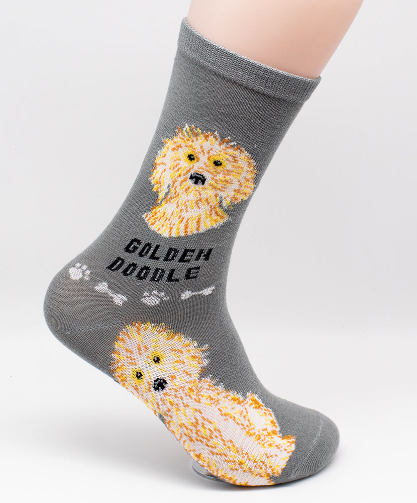 Goldendoodle Dog Breed Foozy Novelty Socks