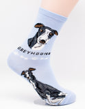 Greyhound Dog Breed Foozy Novelty Socks