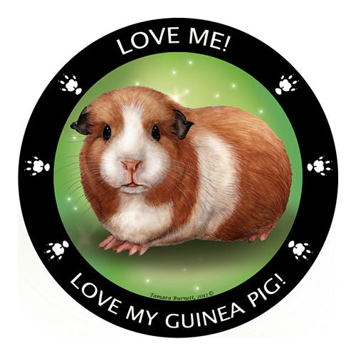 Guinea Pig My Best Friend Dog Breed Magnet
