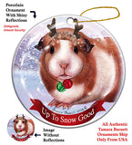 Guinea Pig Howliday Dog Christmas Ornament