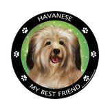 Havanese My Best Friend Dog Breed Magnet