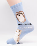 Havanese Dog Breed Foozy Novelty Socks