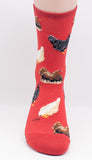 Hen House Chicken Socks